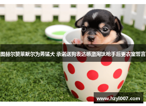 图赫尔赞莱默尔为勇猛犬 承诺送狗表达感激淘汰枪手后更衣室誓言