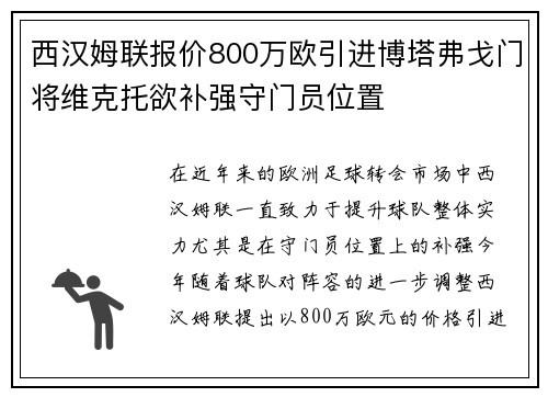 西汉姆联报价800万欧引进博塔弗戈门将维克托欲补强守门员位置