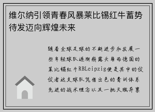 维尔纳引领青春风暴莱比锡红牛蓄势待发迈向辉煌未来